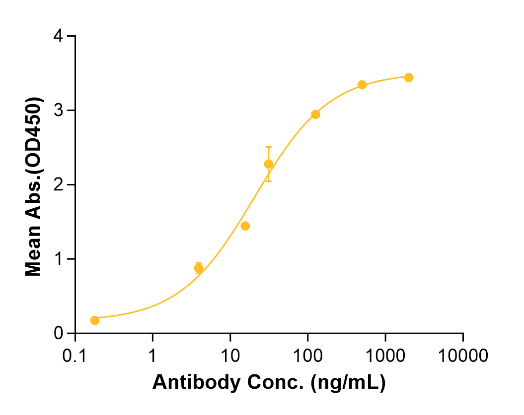 Atinumab (Biosimilar Reference Antibody) (RTN4)