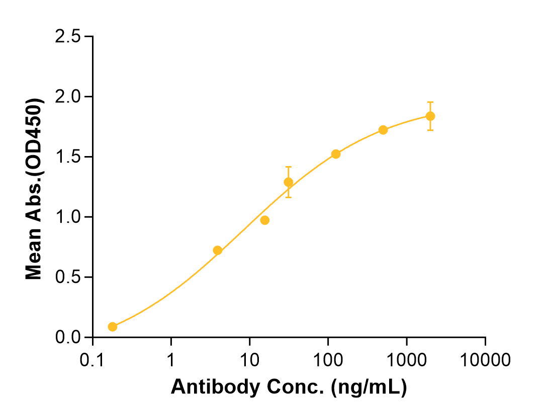 Budoprutug (Biosimilar Reference Antibody) (CD19)