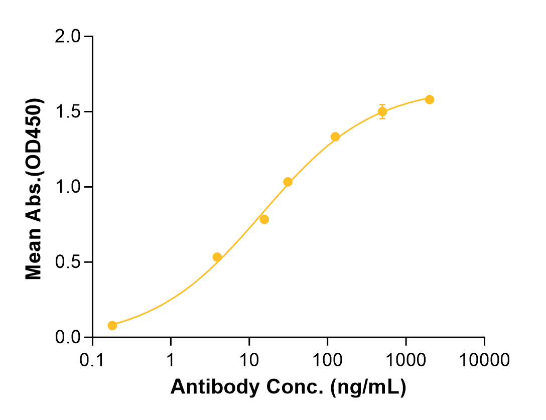 Cetuximab (Biosimilar Reference Antibody) (EGFR)