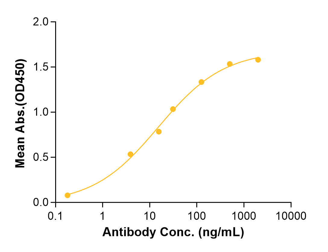 Coltuximab (Biosimilar Reference Antibody) (CD19)