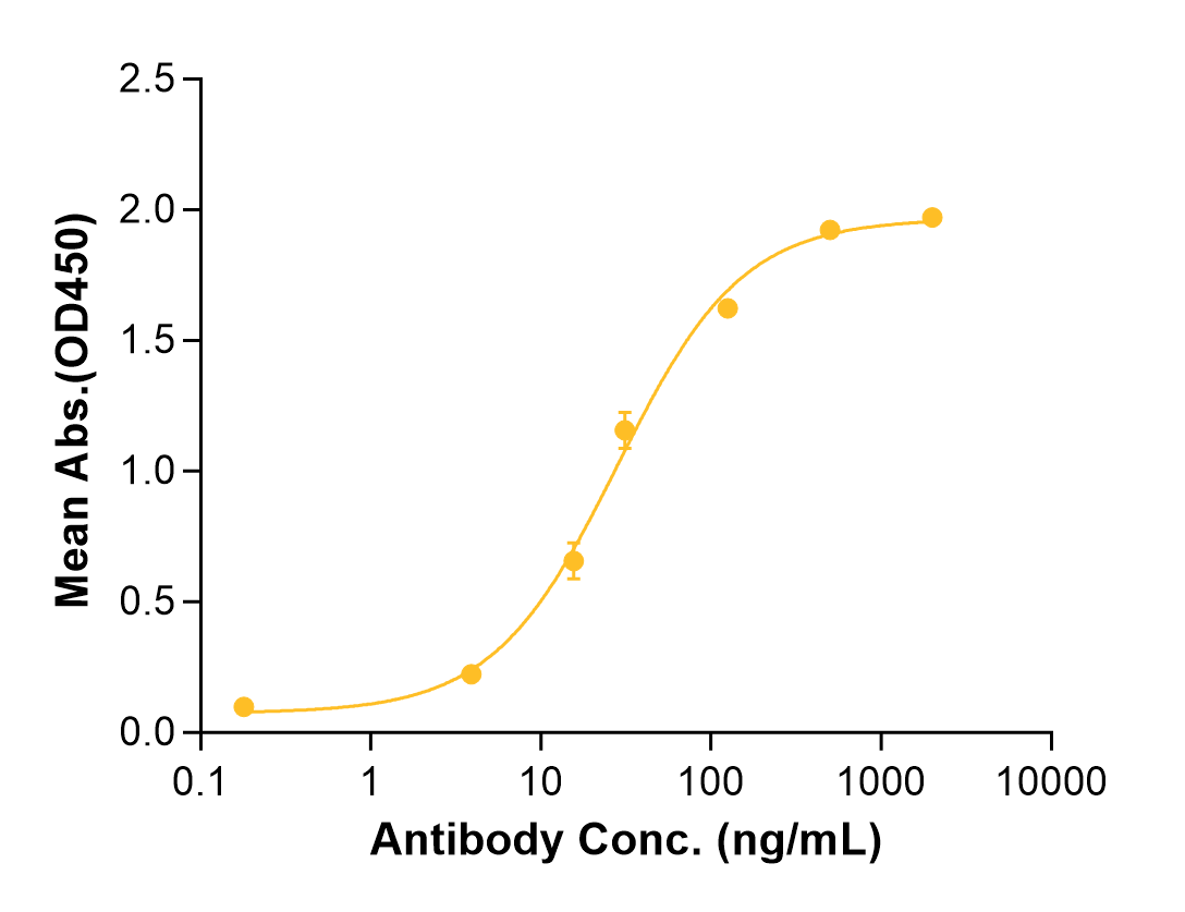 Enfortumab (Biosimilar Reference Antibody) (PVRL4)