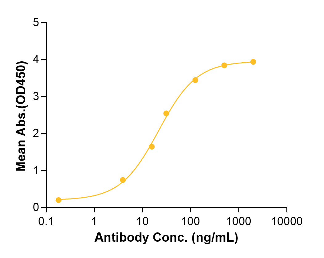 Tarextumab (Biosimilar Reference Antibody) (NOTCH2 and NOTCH3)