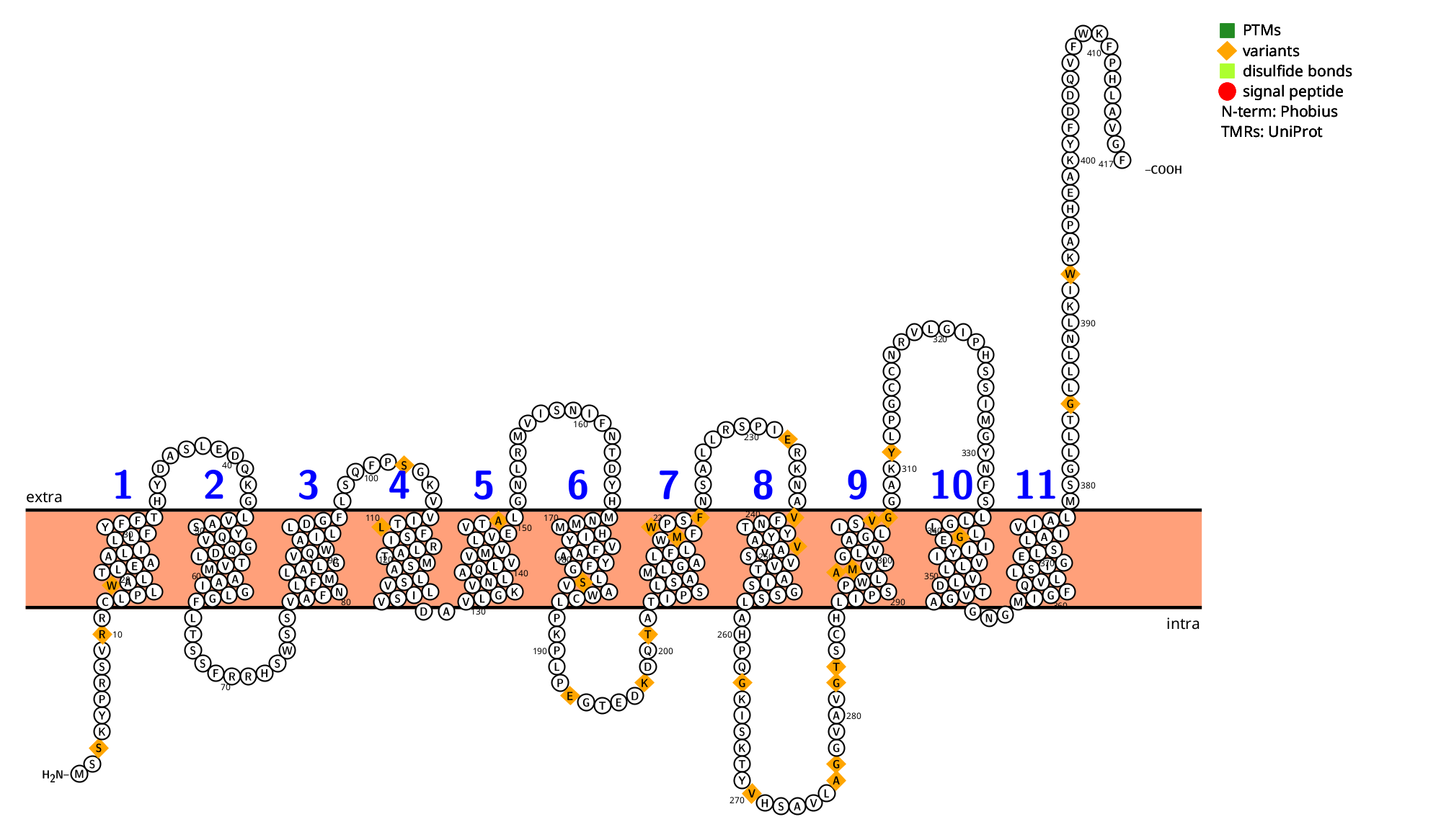 Blood Group Antigen RHD Blood Group Antigen RHD