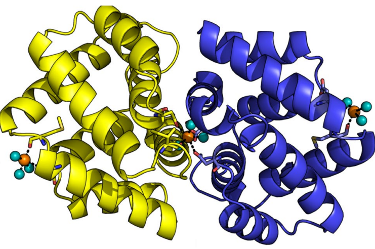 Cat Allergen Fel d 1 Cat Allergen Fel d 1