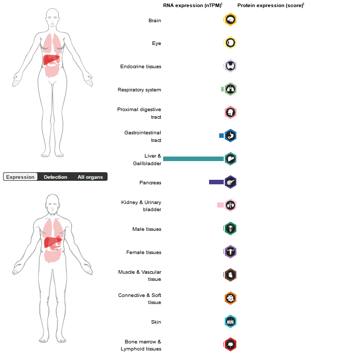 Coagulation factor F11