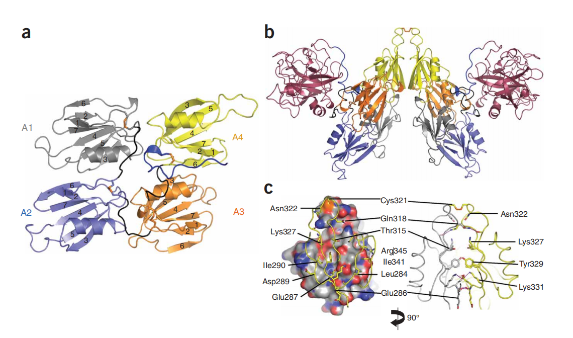 Coagulation factor F11