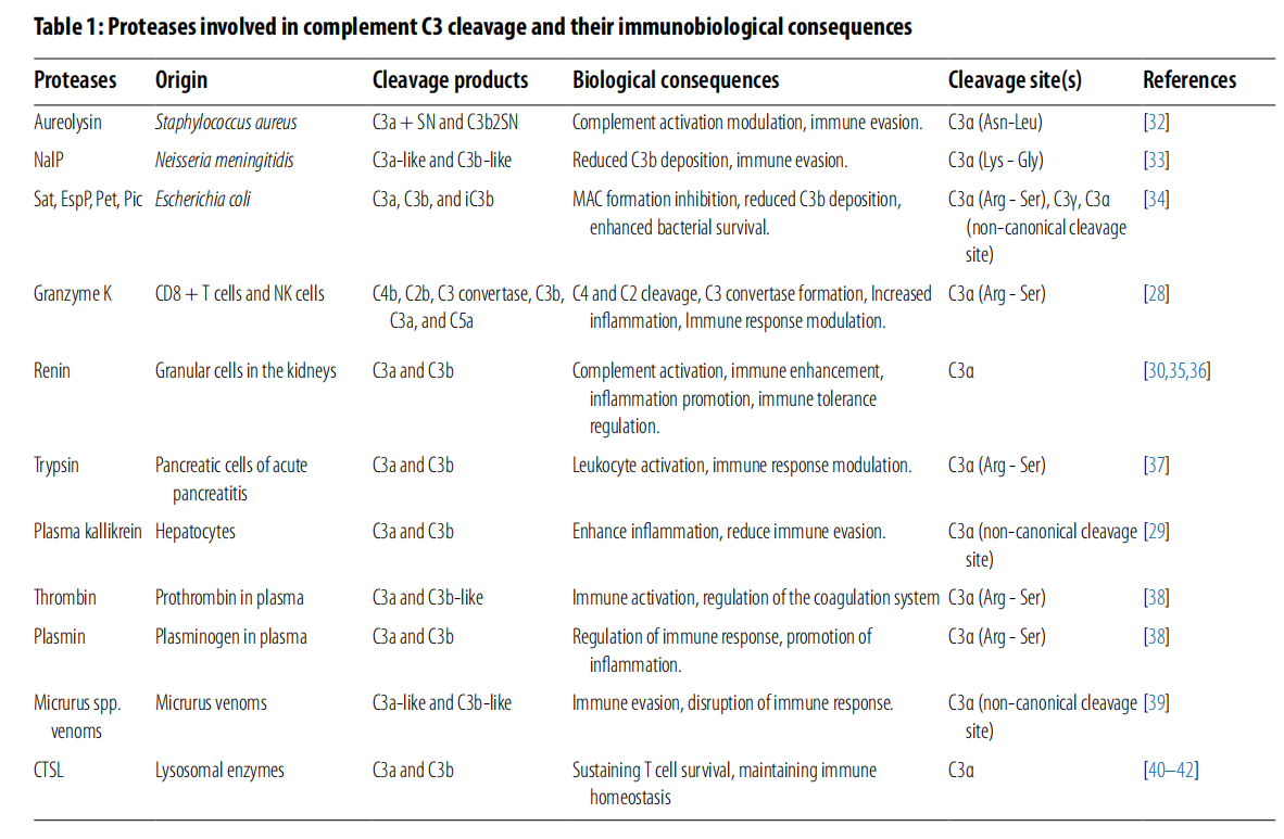 Complement core effector molecule C3