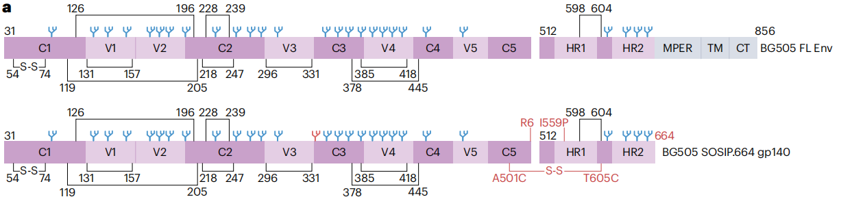 Human Immunodeficiency Virus HIV-1