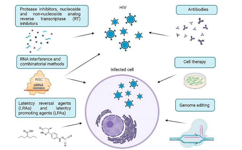 Human Immunodeficiency Virus HIV-1
