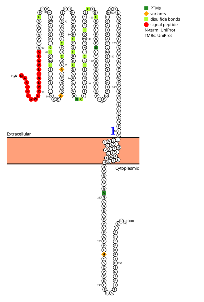 Immune cells costimulate the immune checkpoint receptor CD27 Immune cells costimulate the immune checkpoint receptor CD27