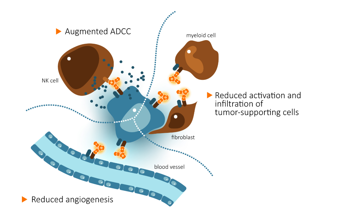 Inflammatory cytokine receptor IL1RAP