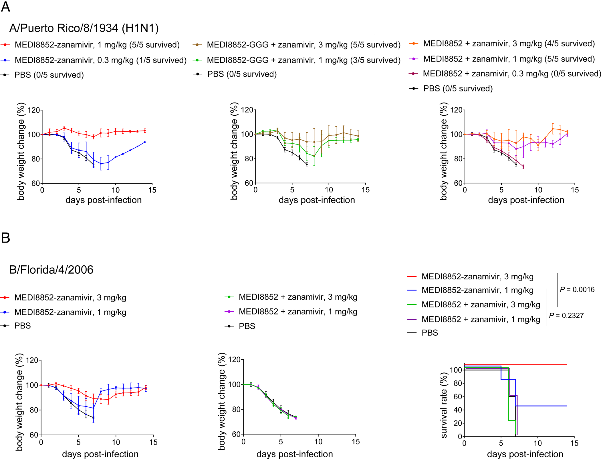 Influenza virus therapeutic target HA