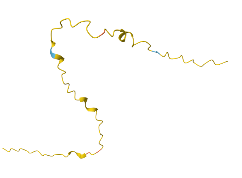 Kidney associated antigen KAAG1 Kidney associated antigen KAAG1