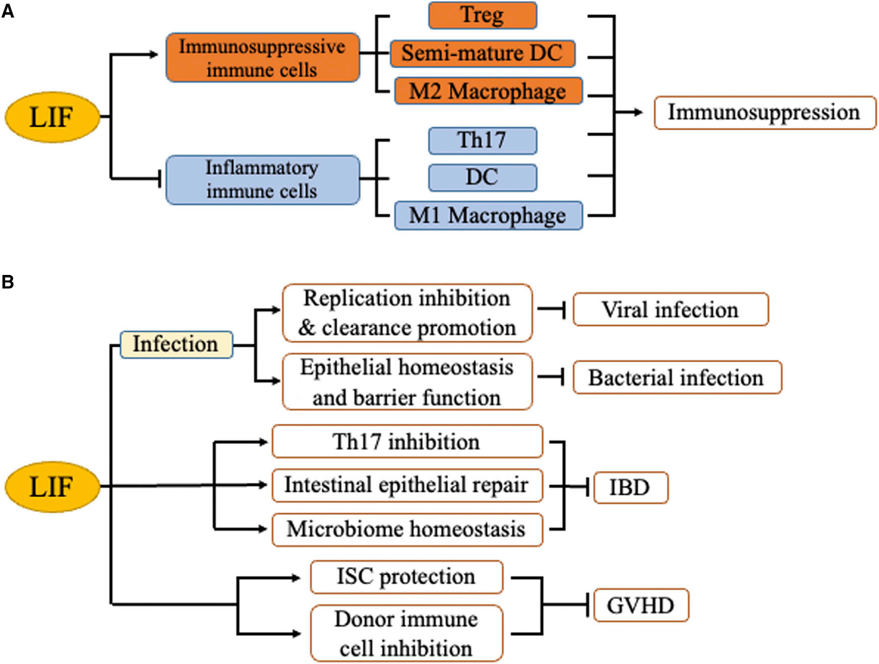 Leukemia inhibitory factor LIF