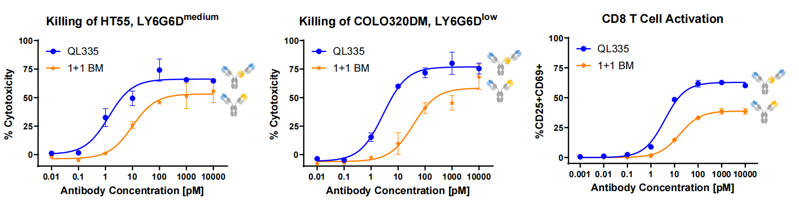 Lymphocyte antigen LY6G6D Lymphocyte antigen LY6G6D