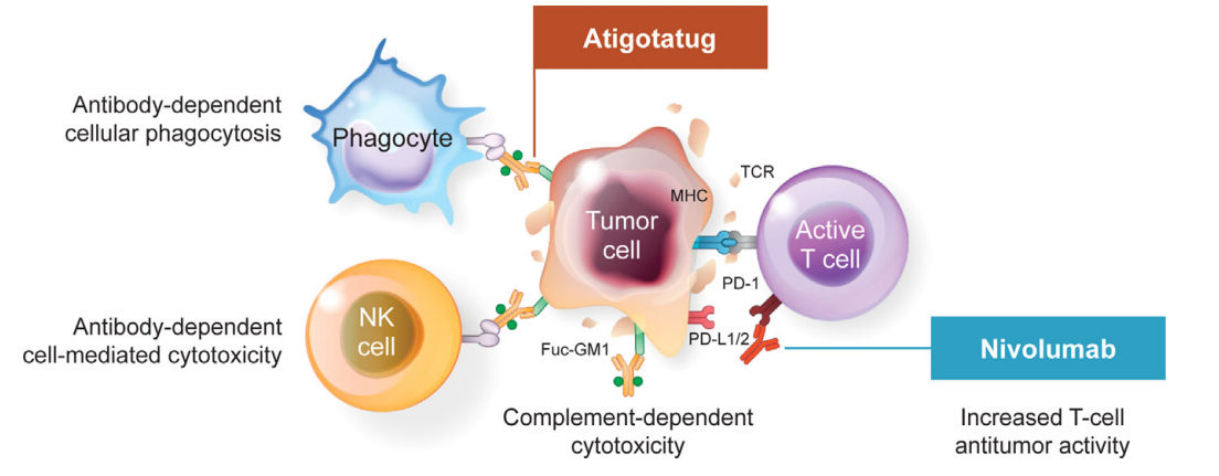 Neuroglycan Fucosyl-GM1 Neuroglycan Fucosyl-GM1