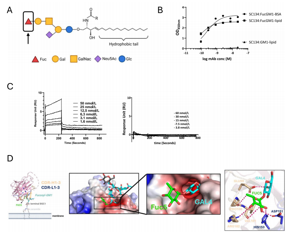 Neuroglycan Fucosyl-GM1 Neuroglycan Fucosyl-GM1