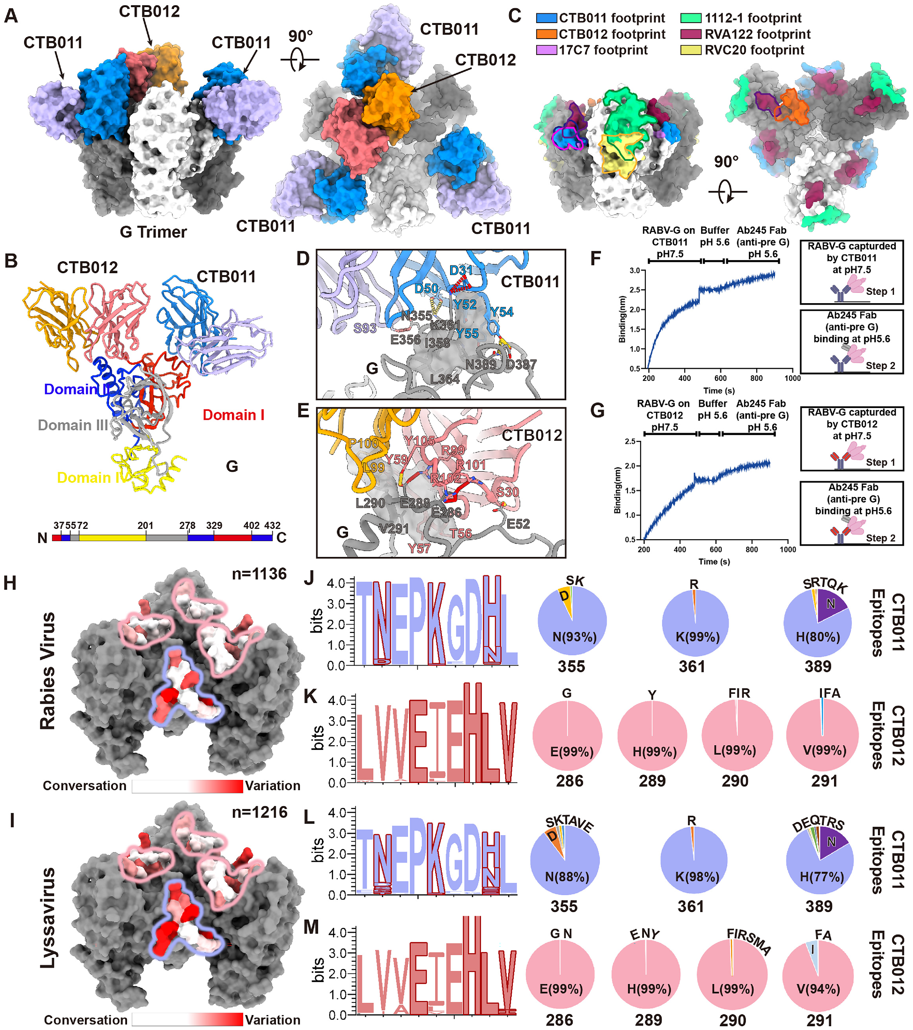 Neurotropic virus RABV Neurotropic virus RABV