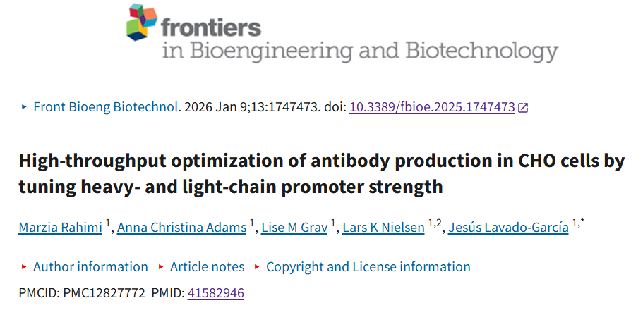 Optimization of antibody high-throughput production in CHO cells by regulating heavy and light chain promoters