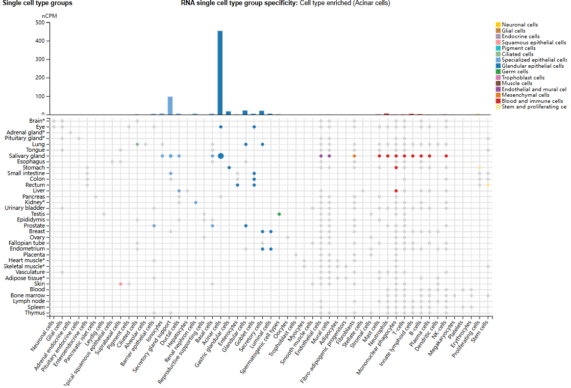 Pancreatic cancer therapeutic target PAUF