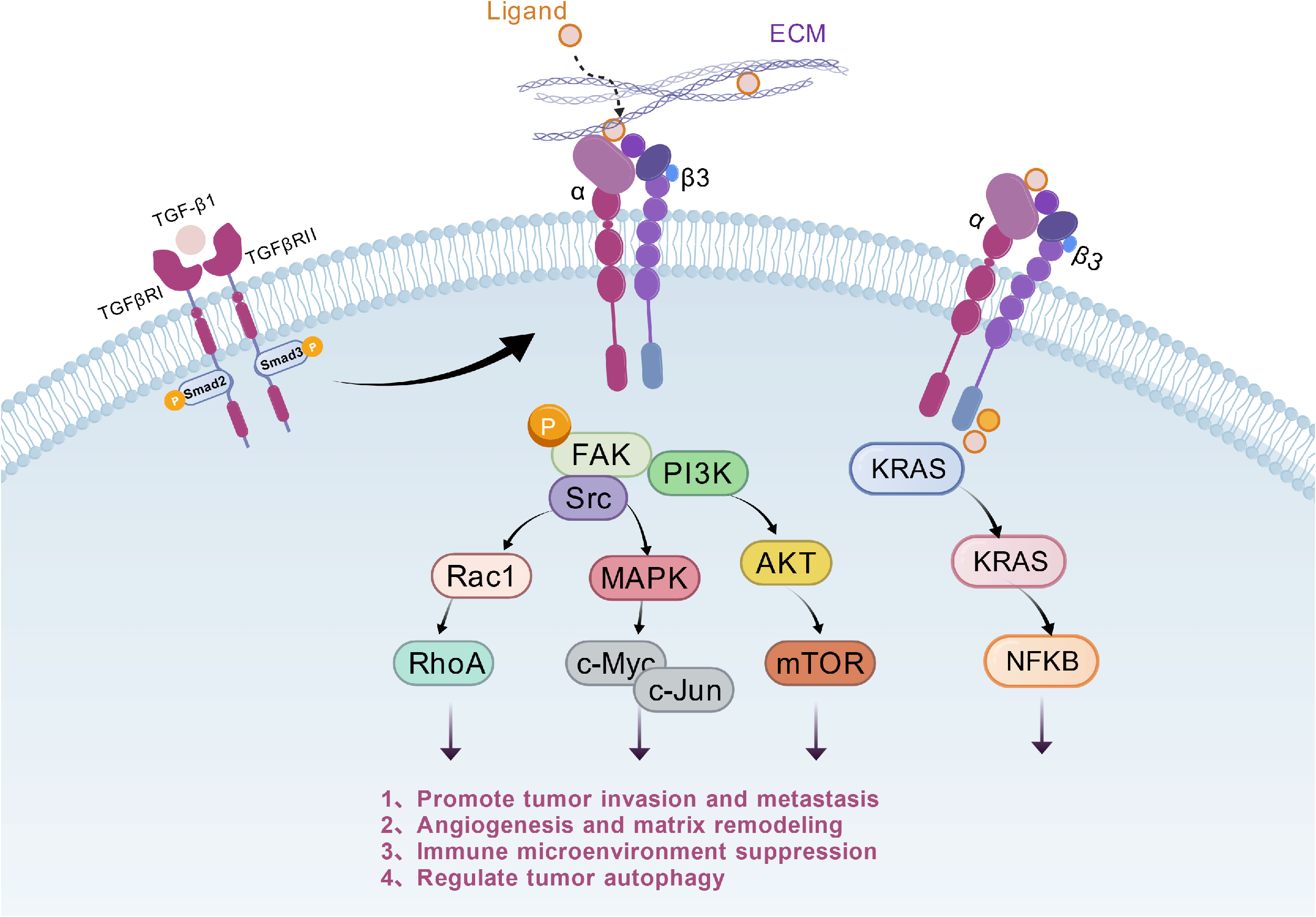 Platelet integrin αIIbβ3 Platelet integrin αIIbβ3