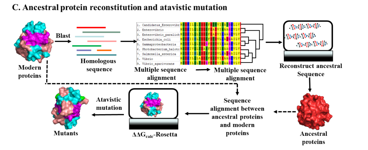 Strategies to enhance soluble expression of recombinant proteins Strategies to enhance soluble expression of recombinant proteins