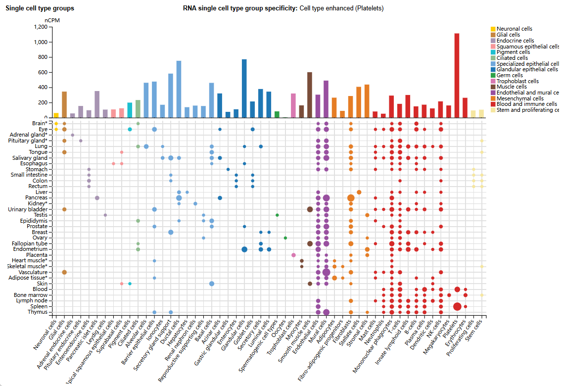 The bidirectional signaling integrin ITGA5B1 The bidirectional signaling integrin ITGA5B1