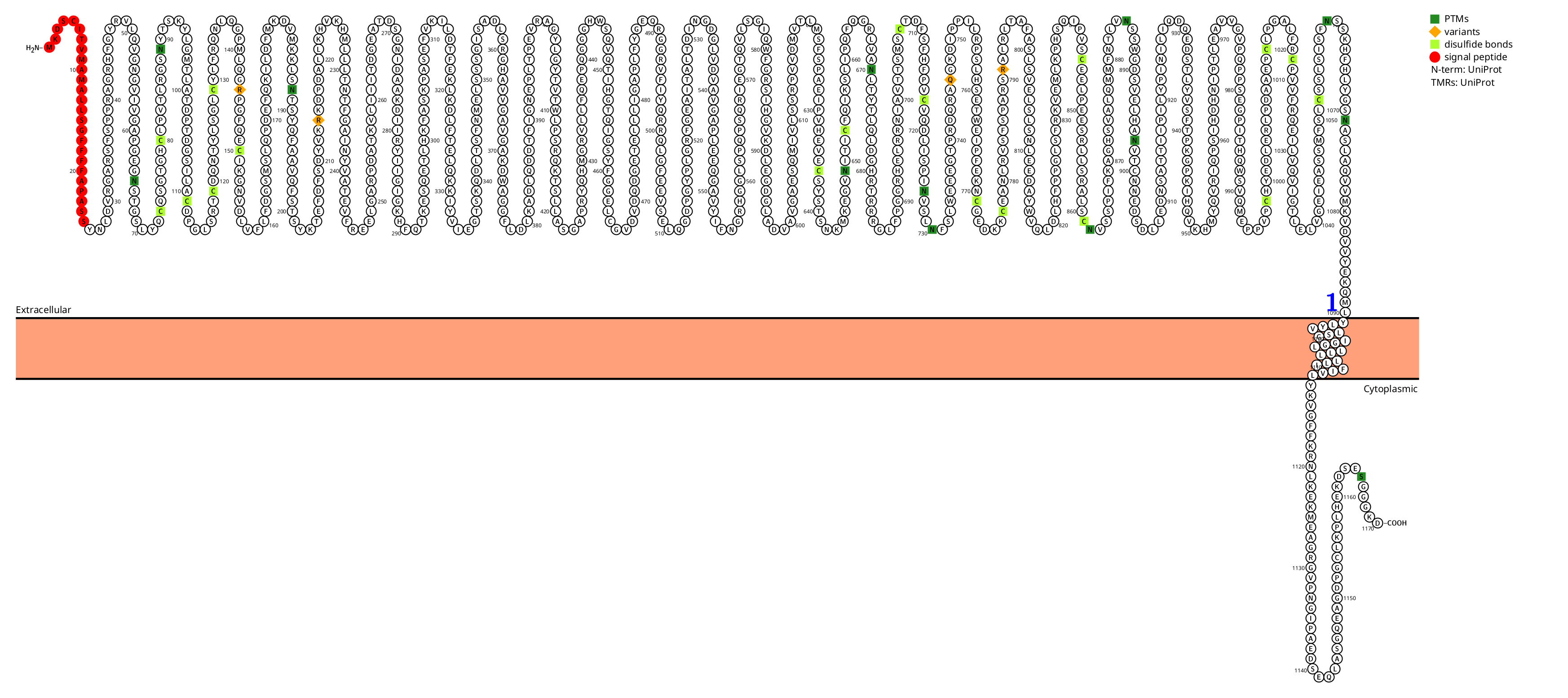 The integrin ITGAL The integrin ITGAL