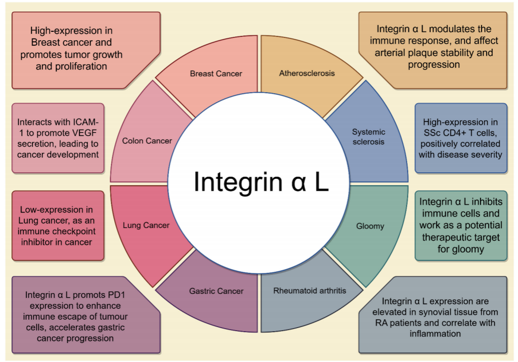 The integrin ITGAL The integrin ITGAL