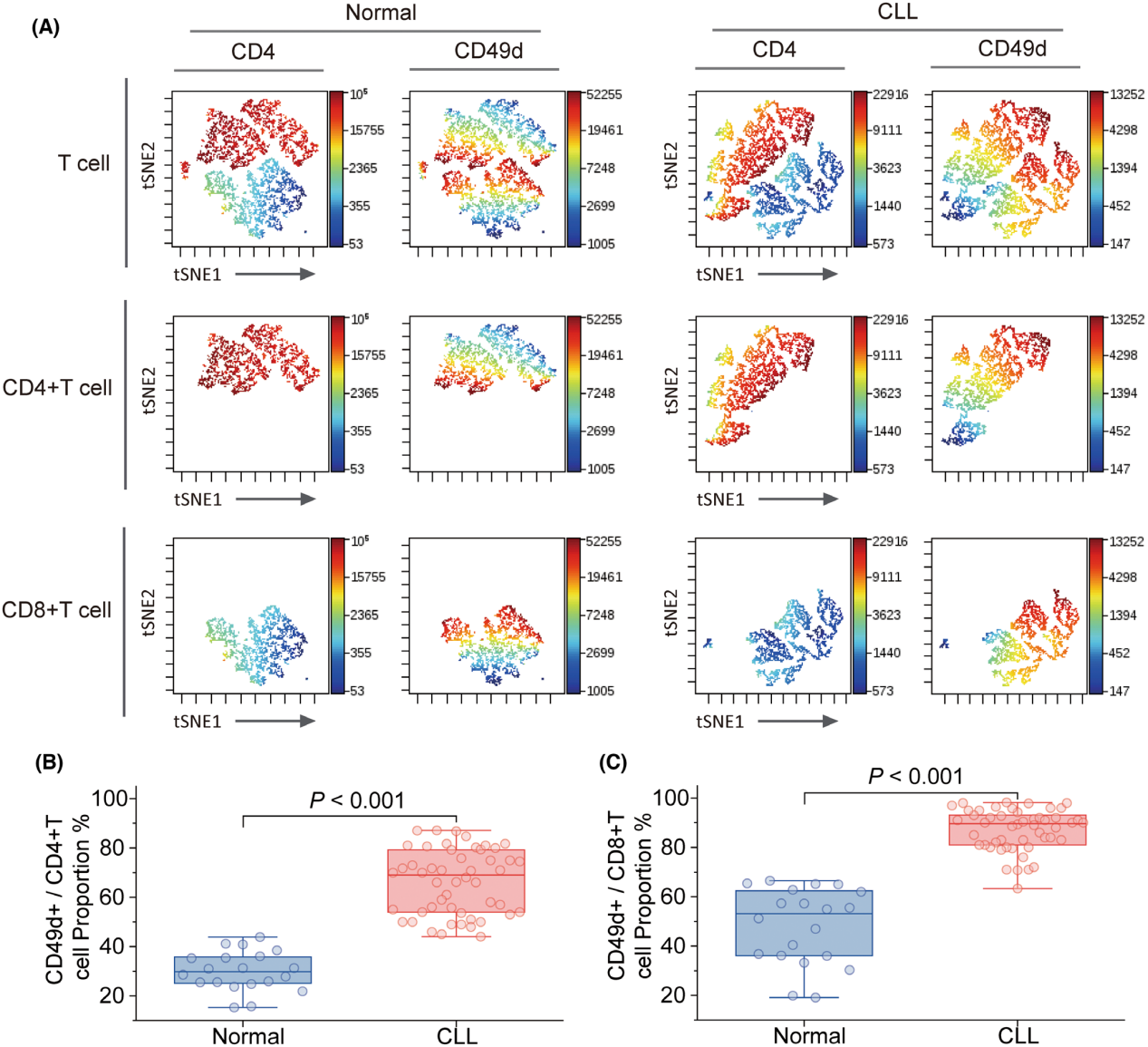 The integrin subunit ITGA4