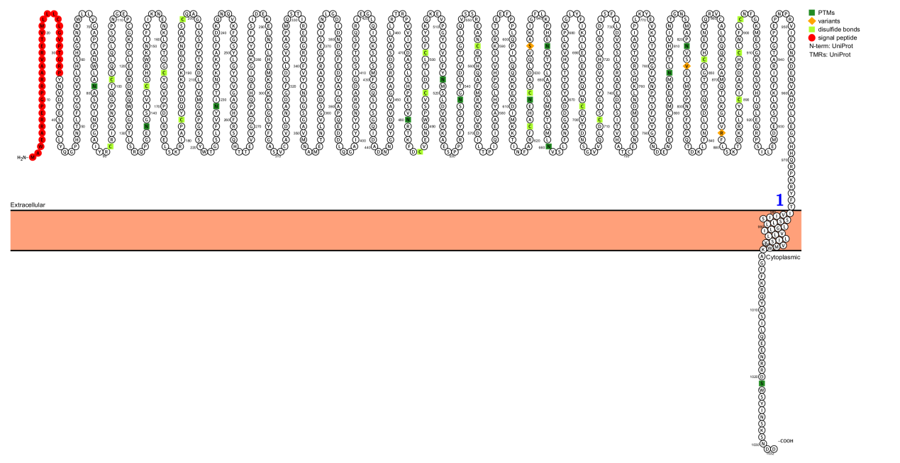 The integrin subunit ITGA4