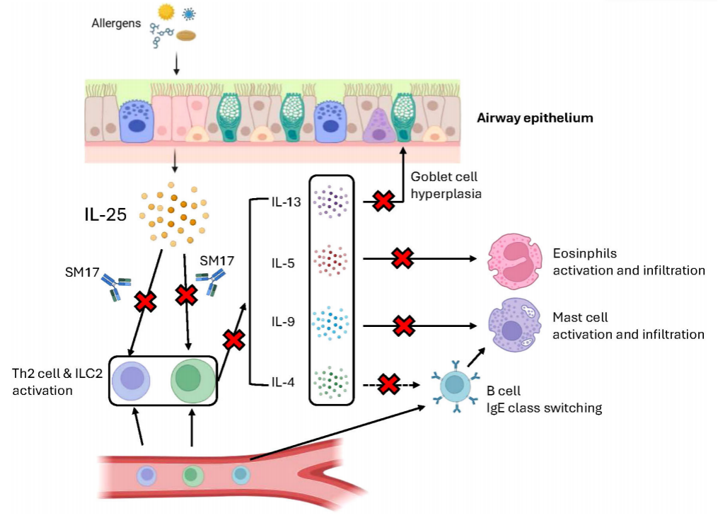 The key hub for inflammation regulation IL17R