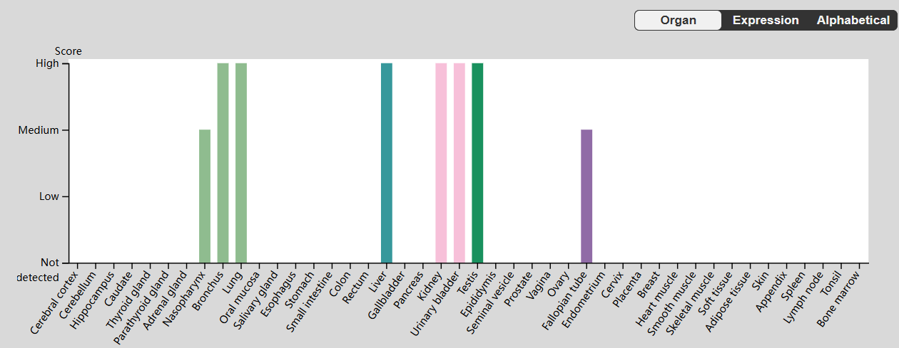 The key hub for inflammation regulation IL17R