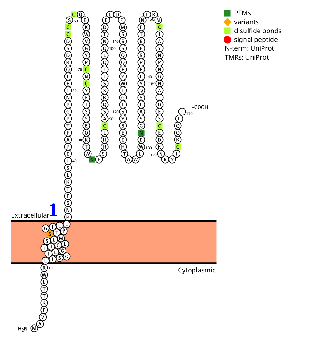 The natural killer cell receptor KLRD1