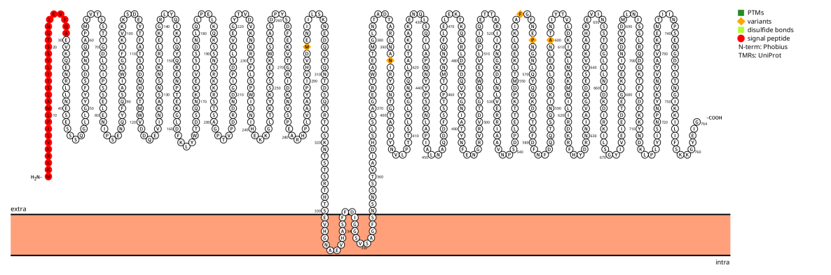 The protective antigen PA The protective antigen PA