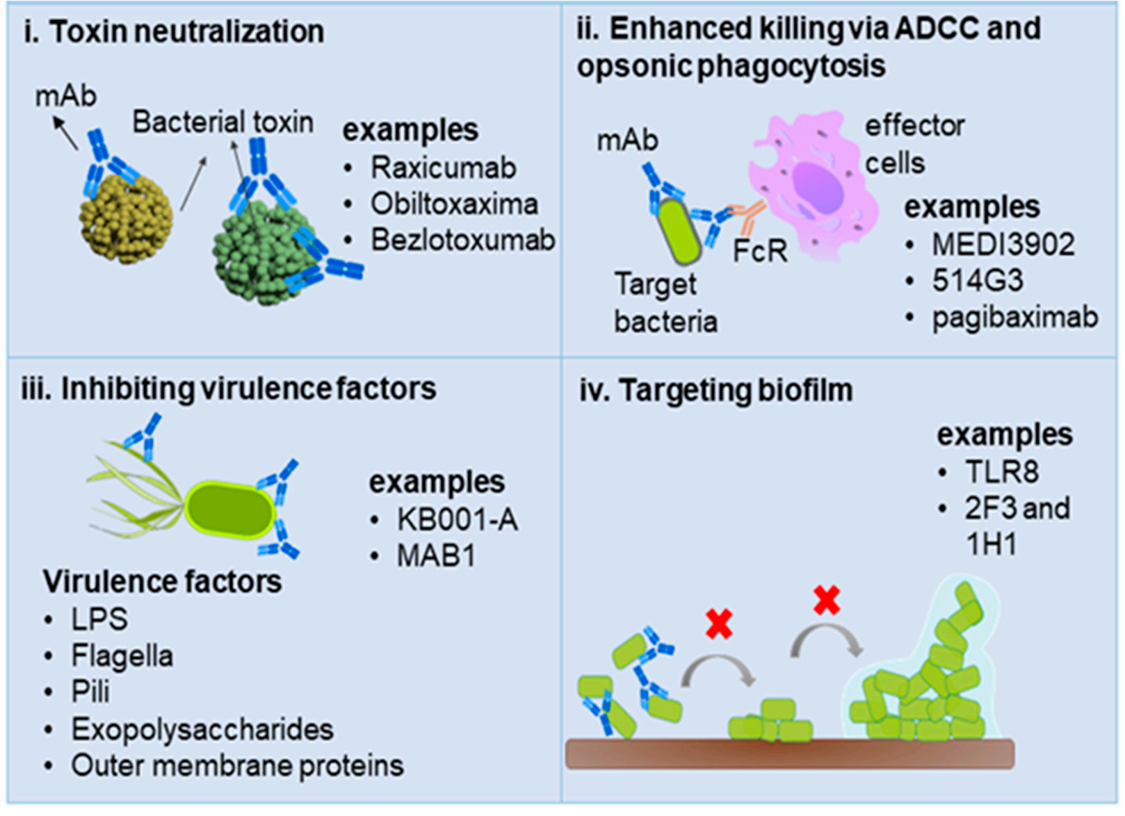 The protective antigen PA The protective antigen PA