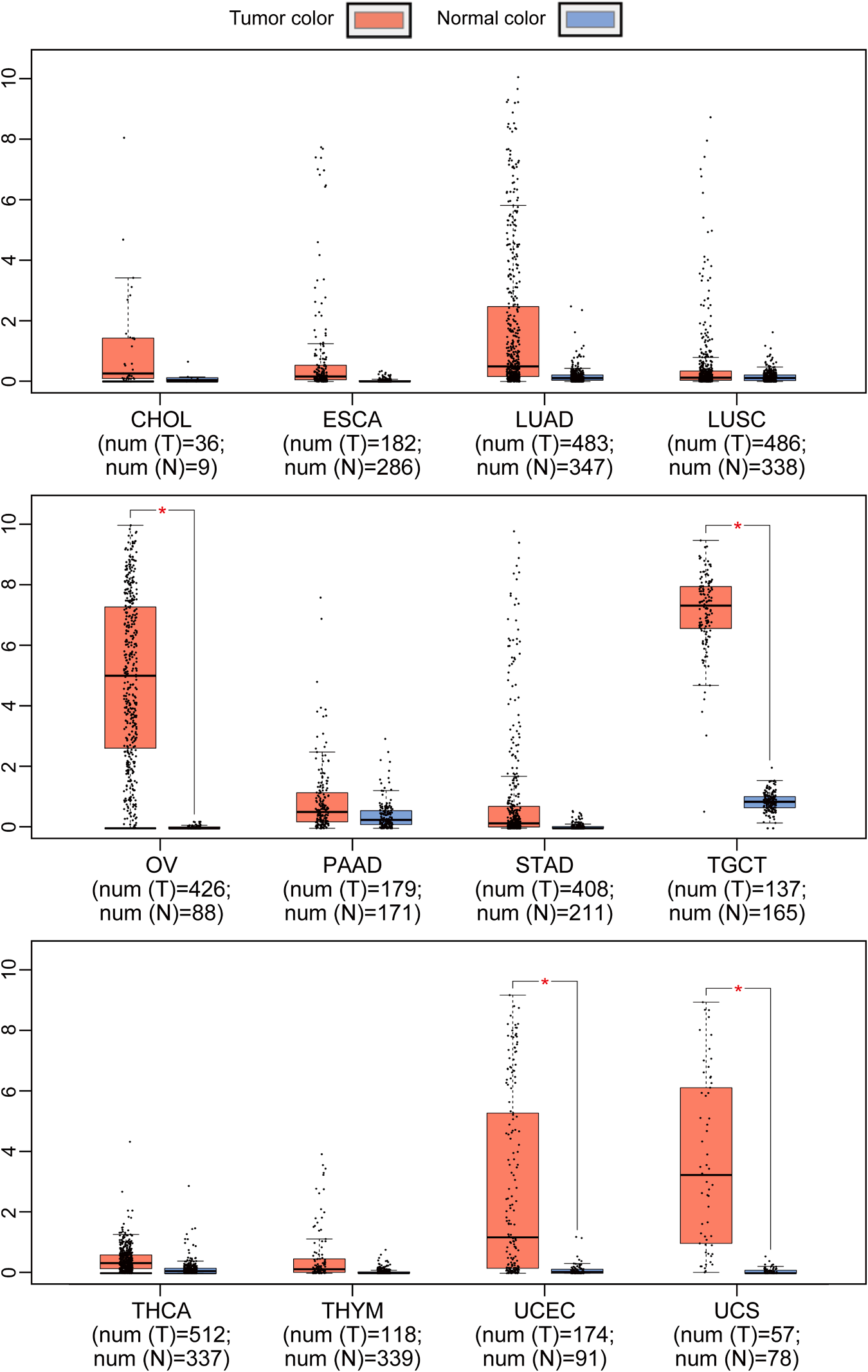 The tight junction protein CLDN6 The tight junction protein CLDN6