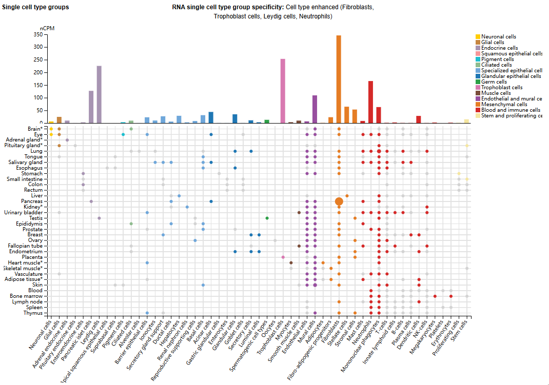 Tumor microenvironment regulatory factor INHBA
