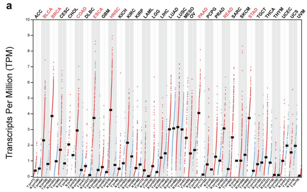 Tumor microenvironment regulatory factor INHBA