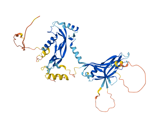Tumor microenvironment regulatory factor INHBA