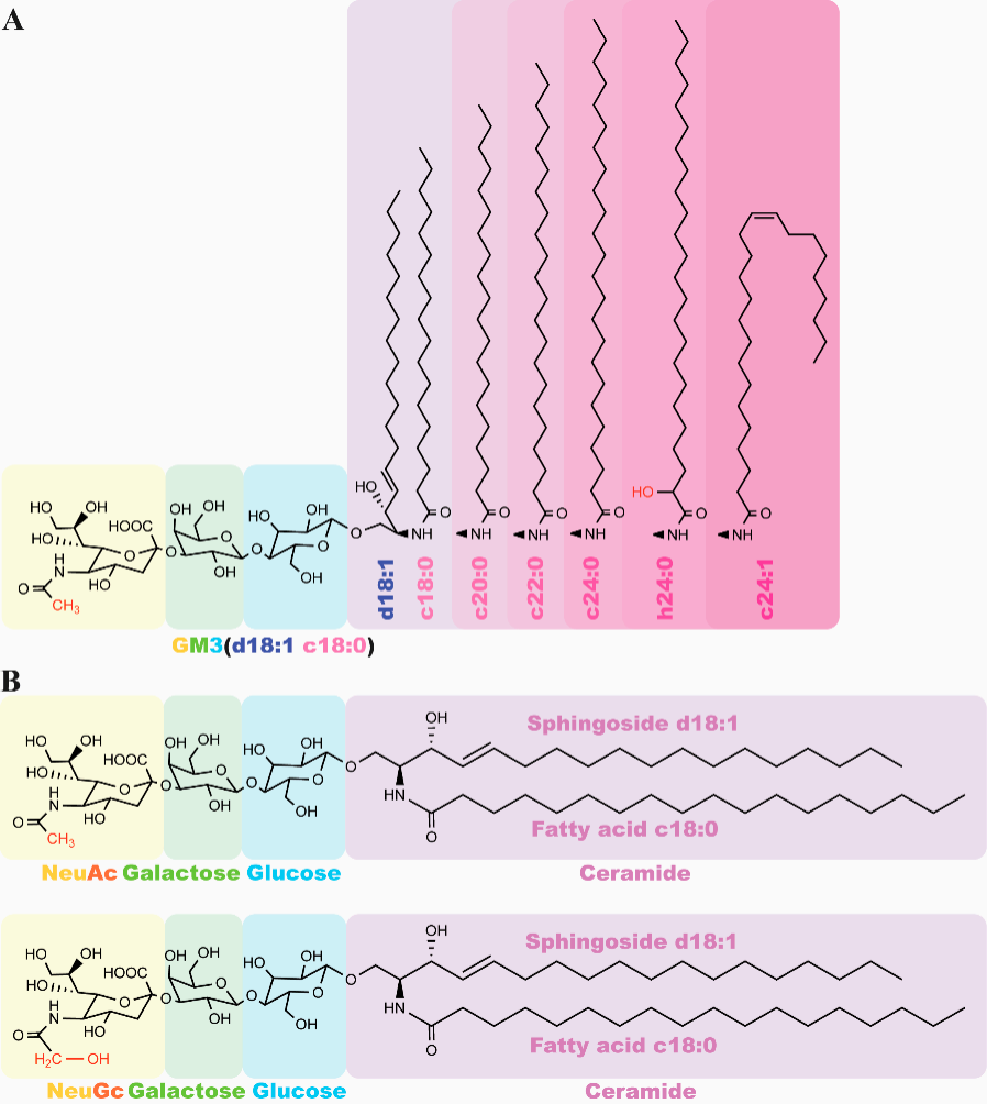 Tumor specific glycolipid antigen NeuGcGM3 Tumor specific glycolipid antigen NeuGcGM3