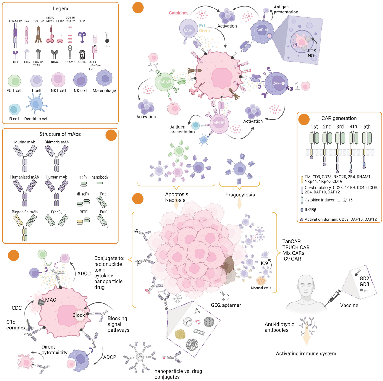 Tumor treatment target Ganglioside GD2