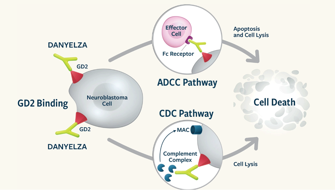Tumor treatment target Ganglioside GD2