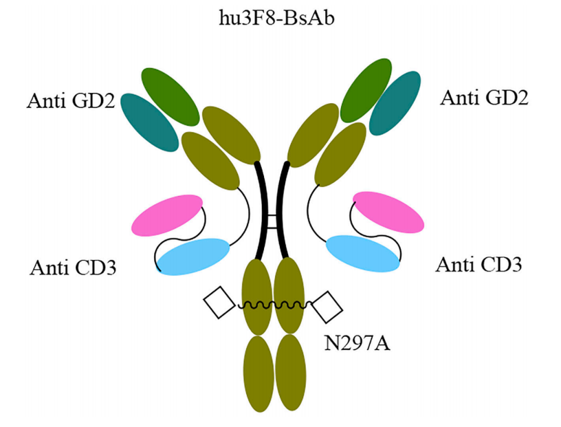 Tumor treatment target Ganglioside GD2