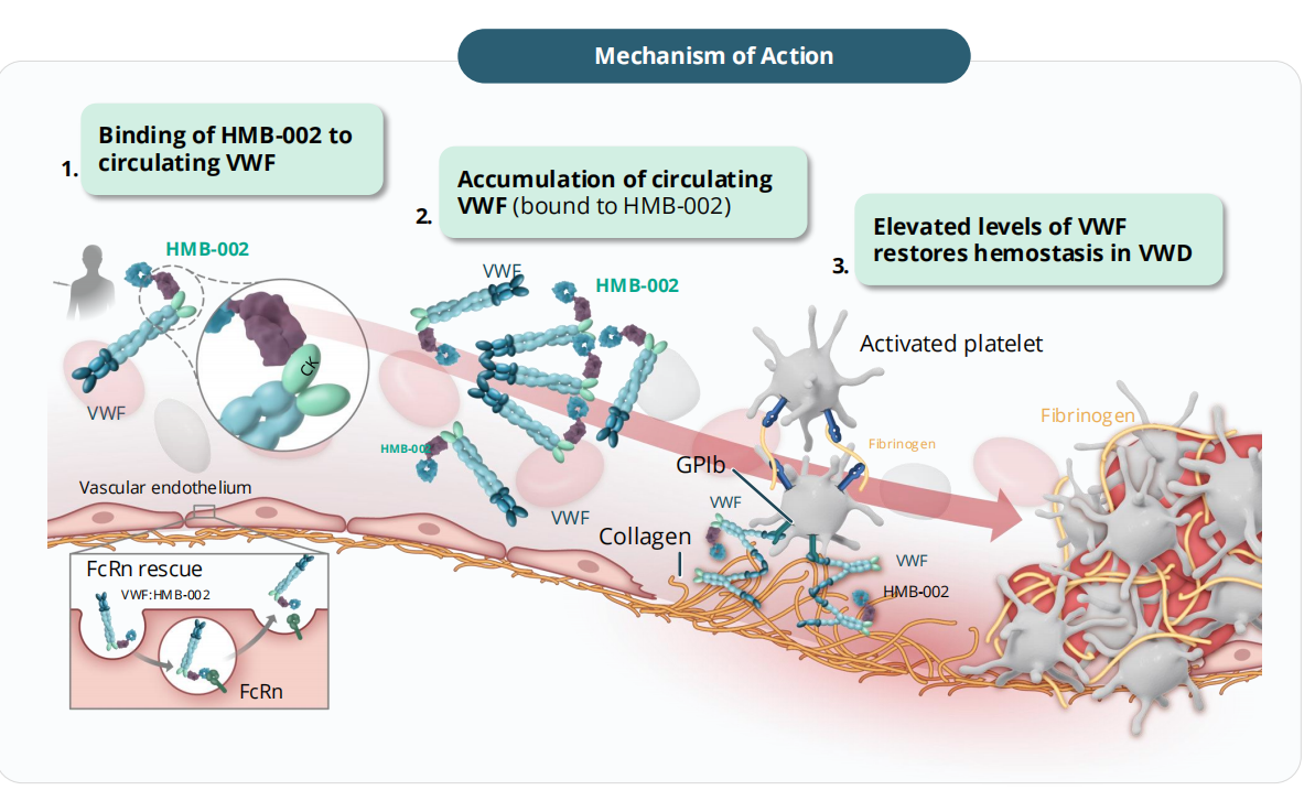 Von Willebrand factor VWF