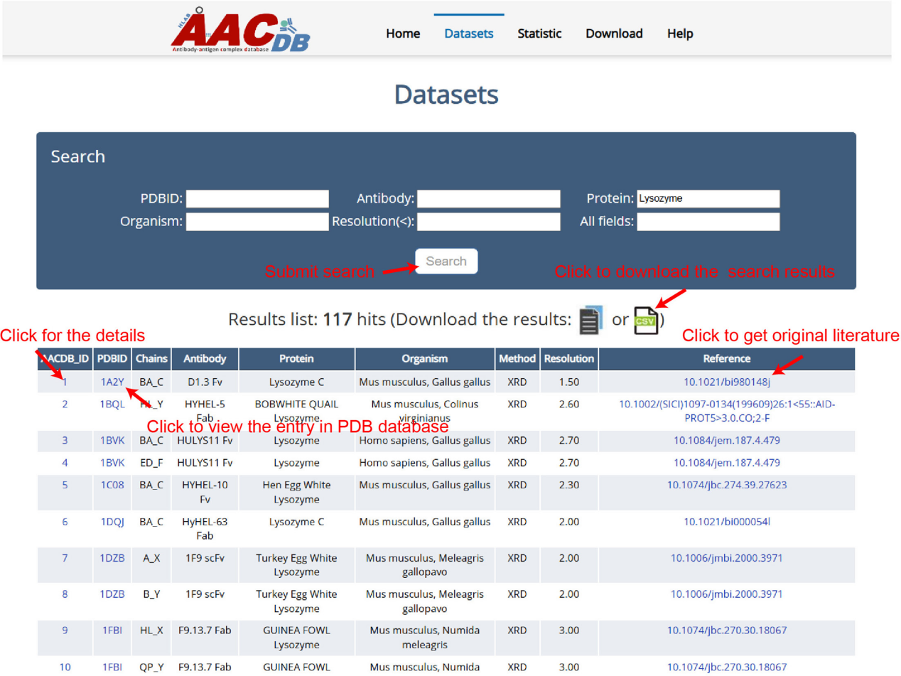 A comprehensive antigen-antibody complex database unlocking insights into interaction interface