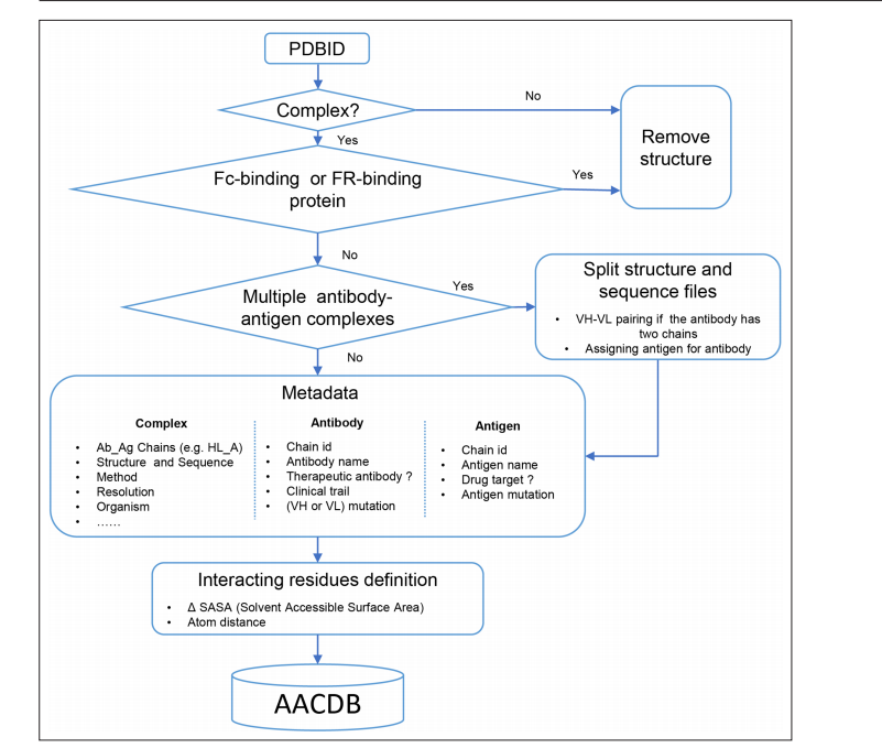 A comprehensive antigen-antibody complex database unlocking insights into interaction interface