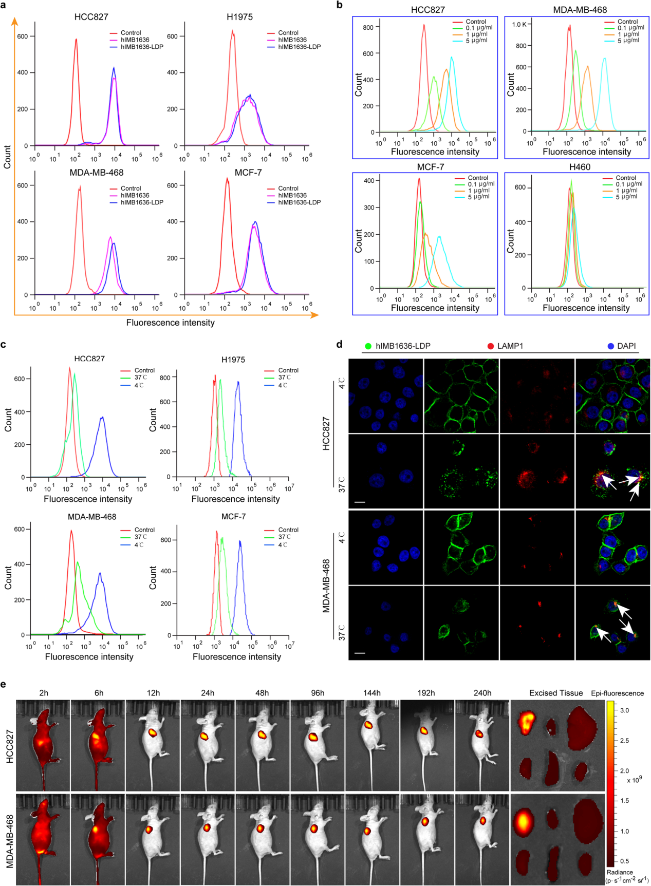 A novel antibody drug conjugate targeting TROP2 has shown potent anti-tumor efficacy in breast and lung cancer