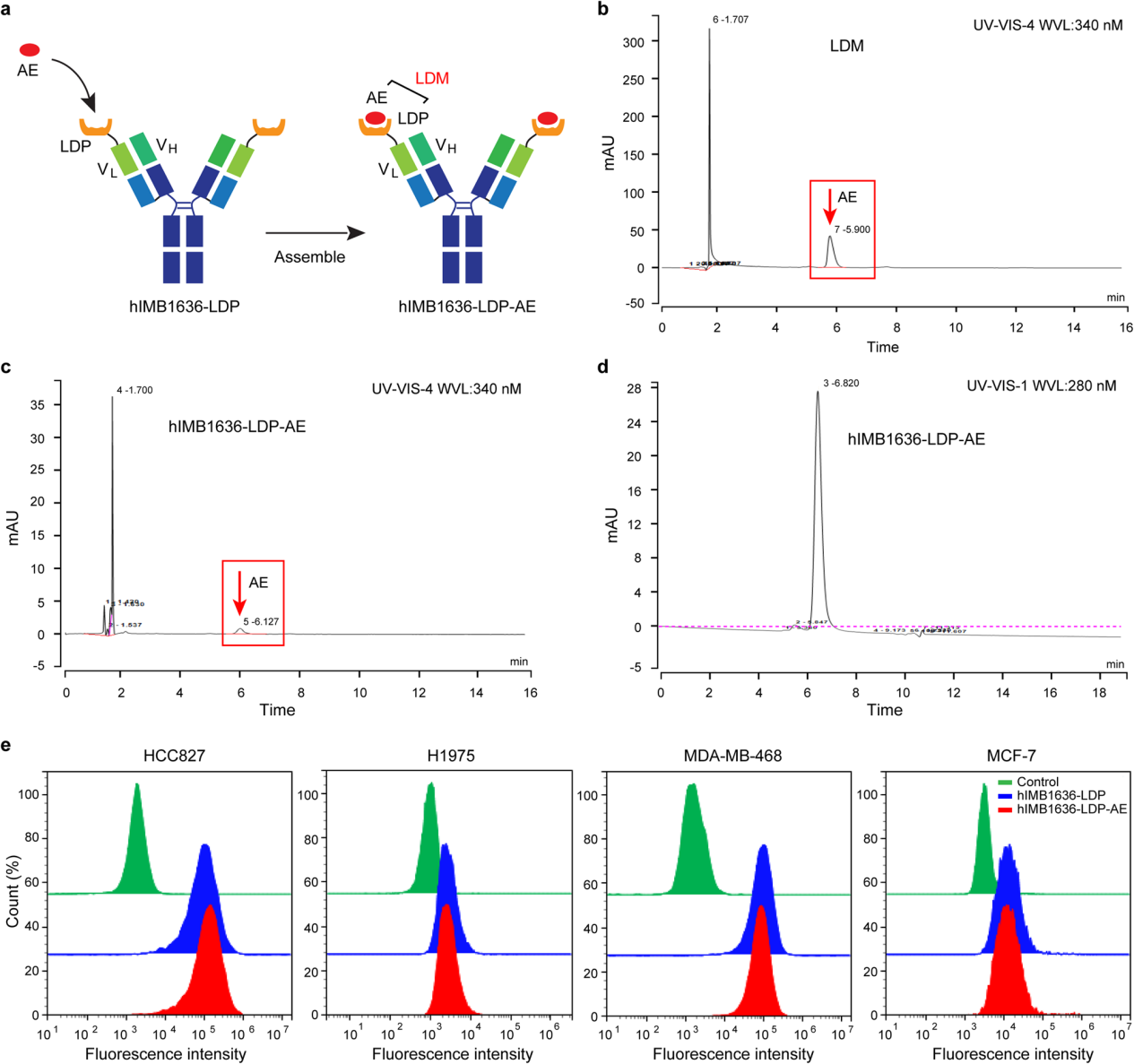 A novel antibody drug conjugate targeting TROP2 has shown potent anti-tumor efficacy in breast and lung cancer