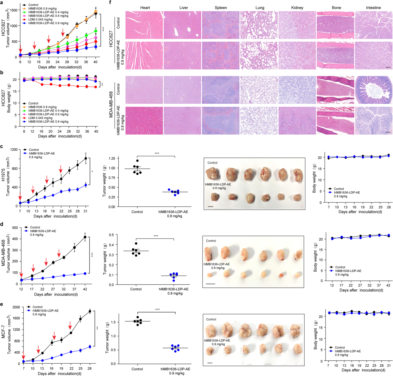 A novel antibody drug conjugate targeting TROP2 has shown potent anti-tumor efficacy in breast and lung cancer